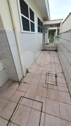Foto REO746427