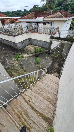 Foto REO746427