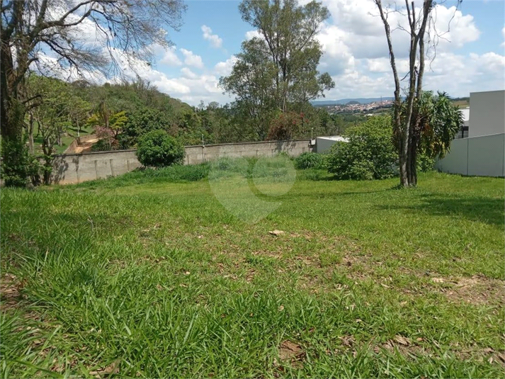 Foto REO746676