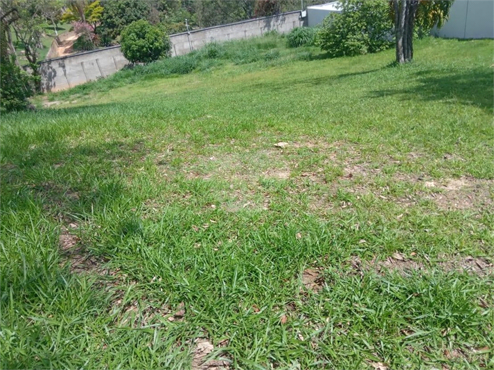 Foto REO746676