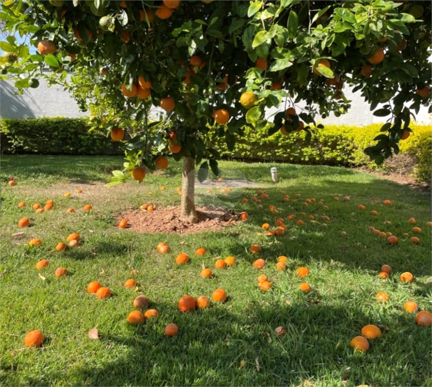 Venda Casa térrea Itatiba Parque Da Fazenda REO746949 12