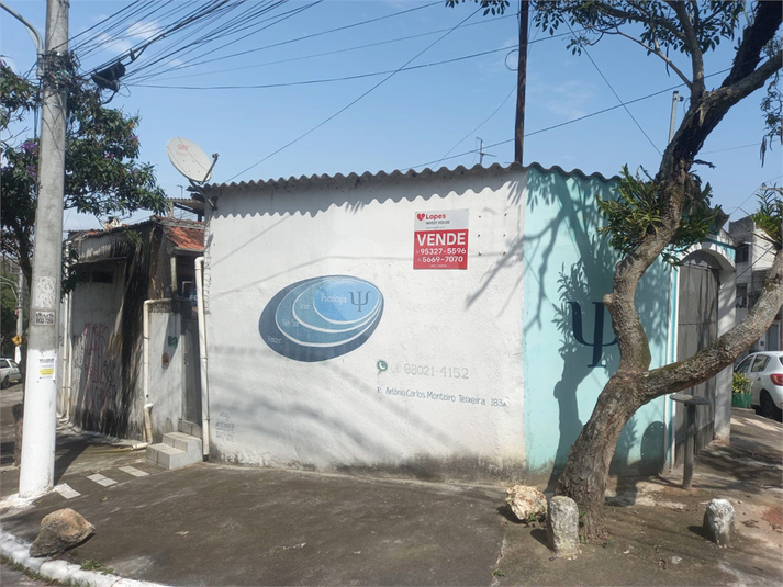 Foto REO747258
