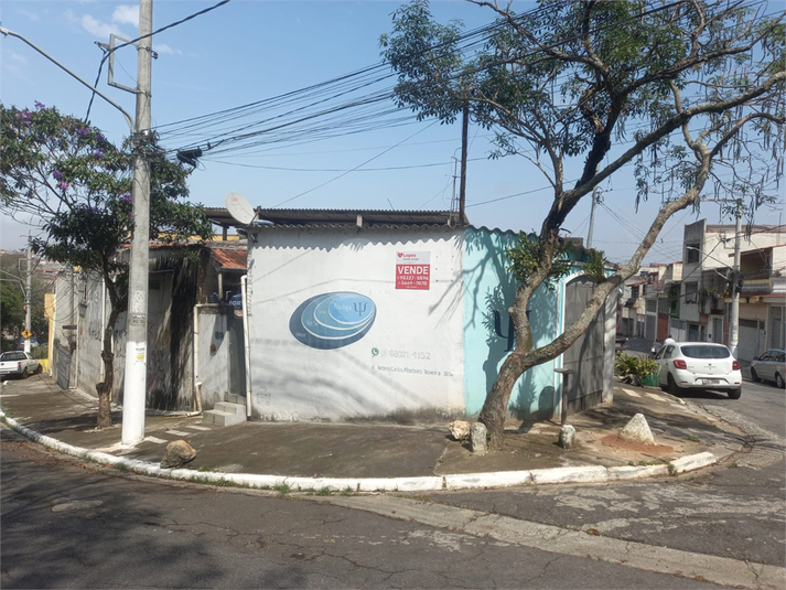 Foto REO747258