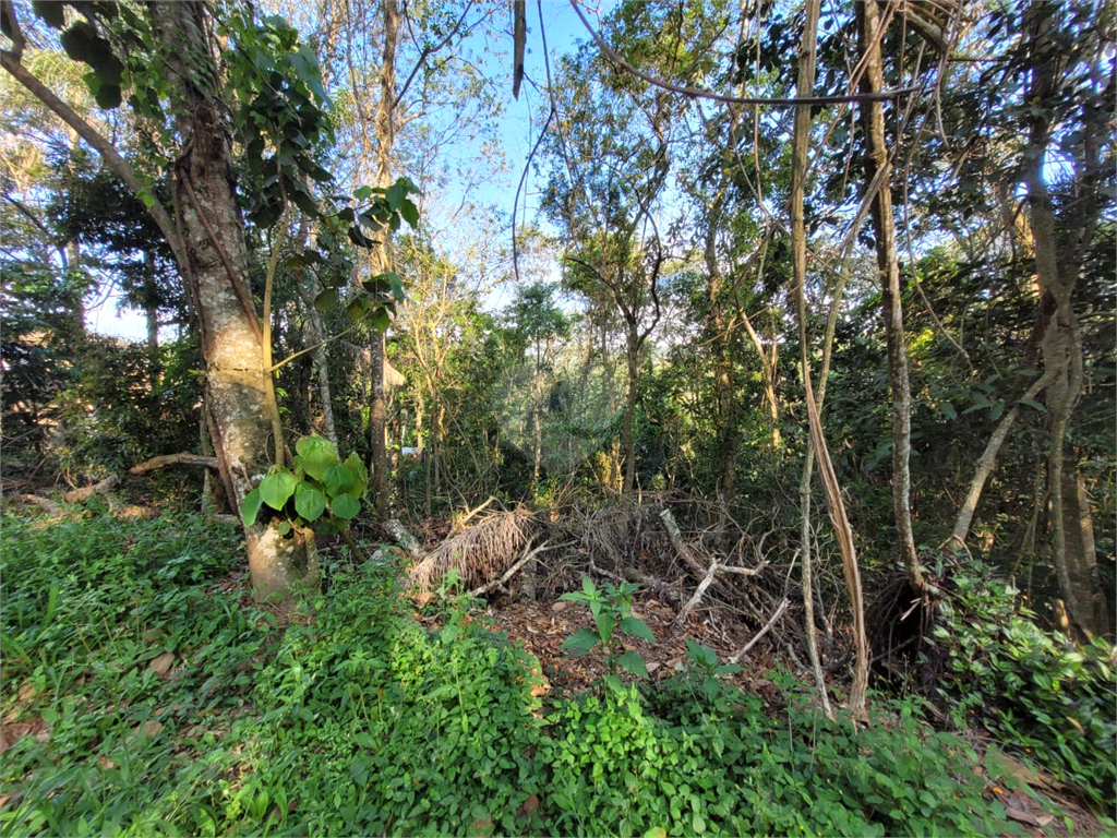 Venda Condomínio Mairiporã Caraguatá REO747285 3