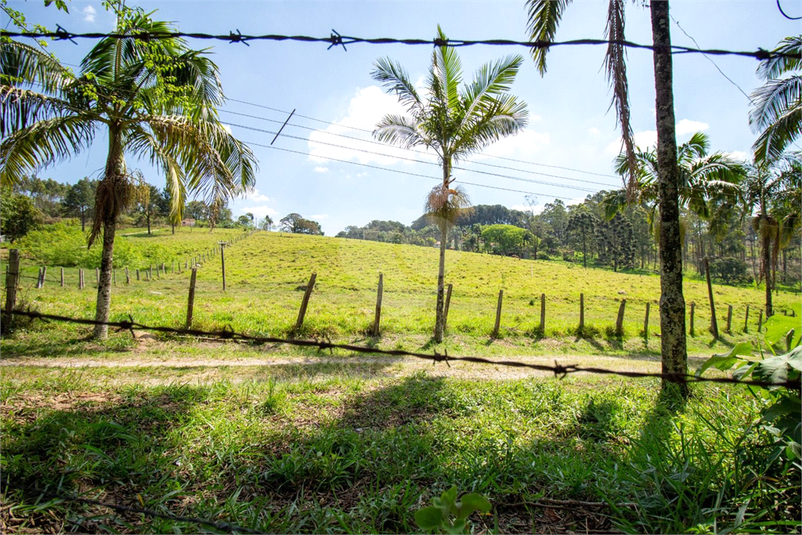 Venda Terreno São Roque Vila Darcy Penteado (mailasqui) REO747671 2