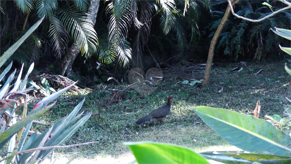 Venda Condomínio Mairiporã Rio Abaixo REO747681 20