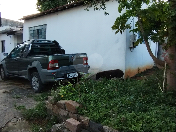 Foto REO747927