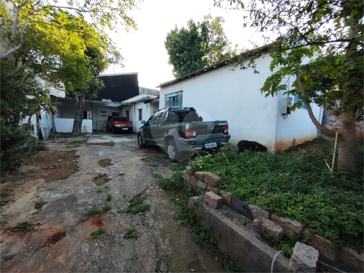 Foto REO747927
