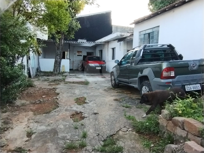 Foto REO747927