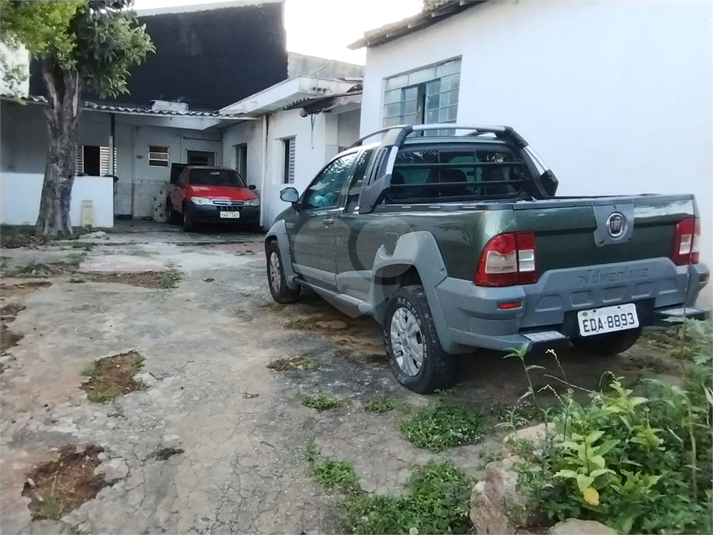 Foto REO747927