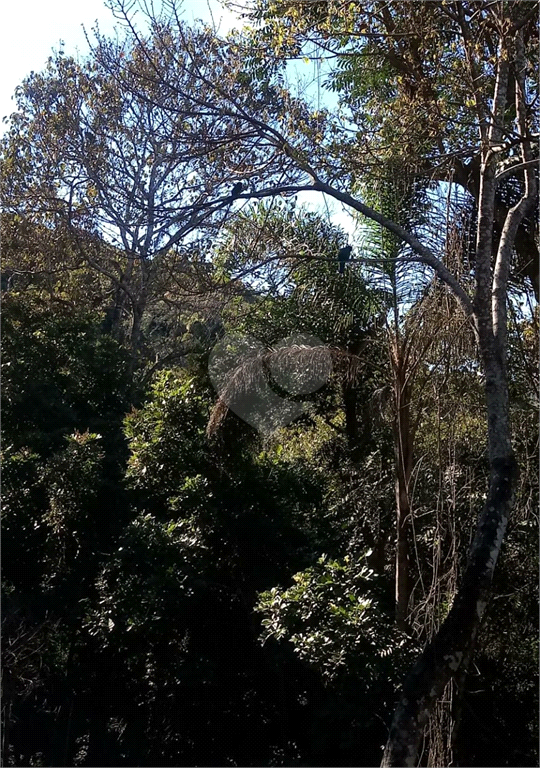 Venda Terreno Mairiporã Barreiro REO748216 10