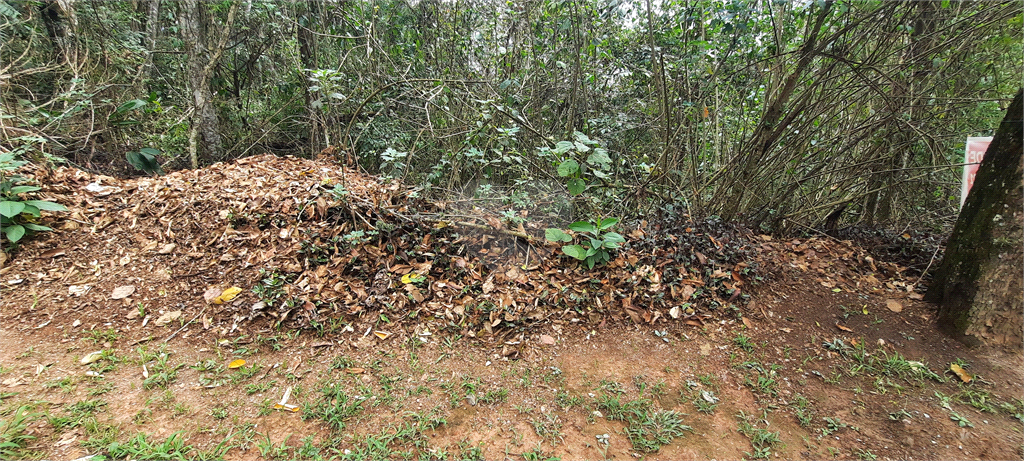 Venda Terreno Mairiporã Barreiro REO748216 2