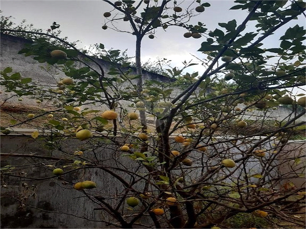 Venda Condomínio Araçoiaba Da Serra Centro REO748573 15