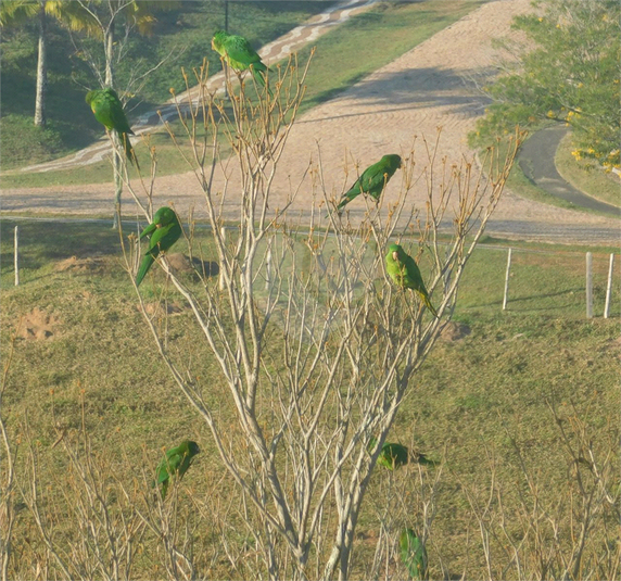 Venda Terreno São José Dos Campos Alto Da Ponte REO749109 15