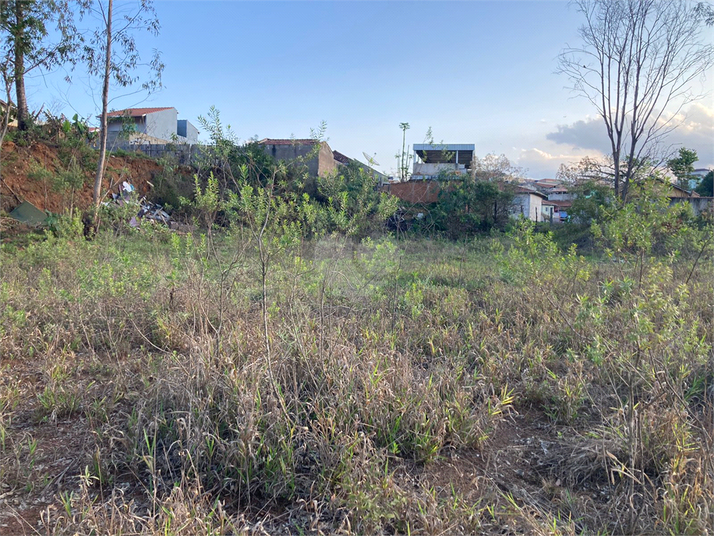 Venda Terreno Cambuí Centro REO749283 1