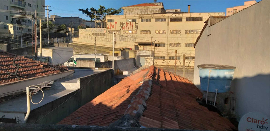 Foto REO749531