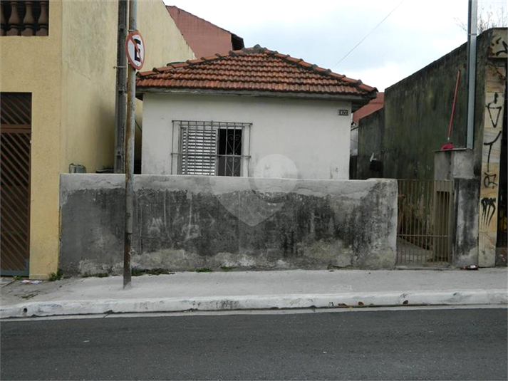 Foto REO749531