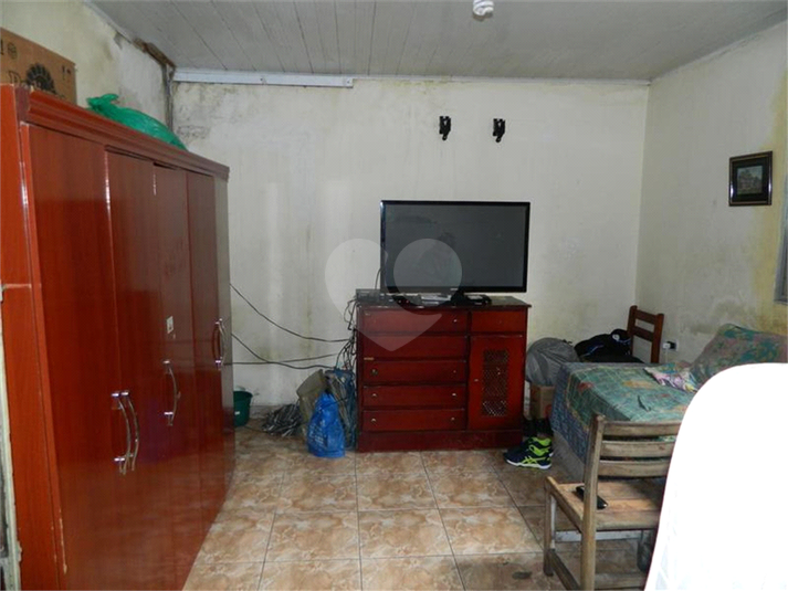 Foto REO749531