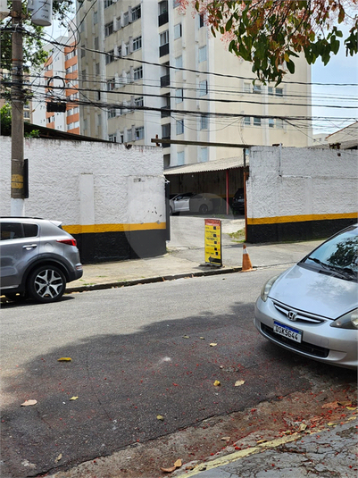 Foto REO749669