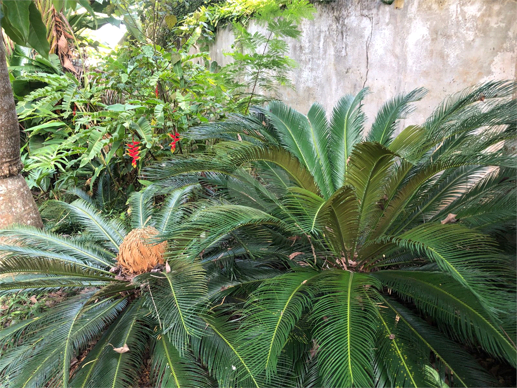 Venda Casa térrea Cotia Vila Santo Antônio REO749786 29