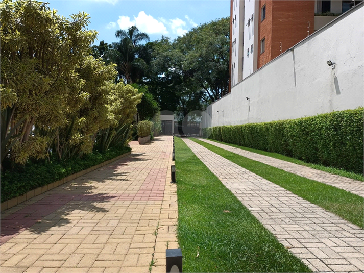 Aluguel Apartamento São Paulo Vila Hamburguesa REO750178 20