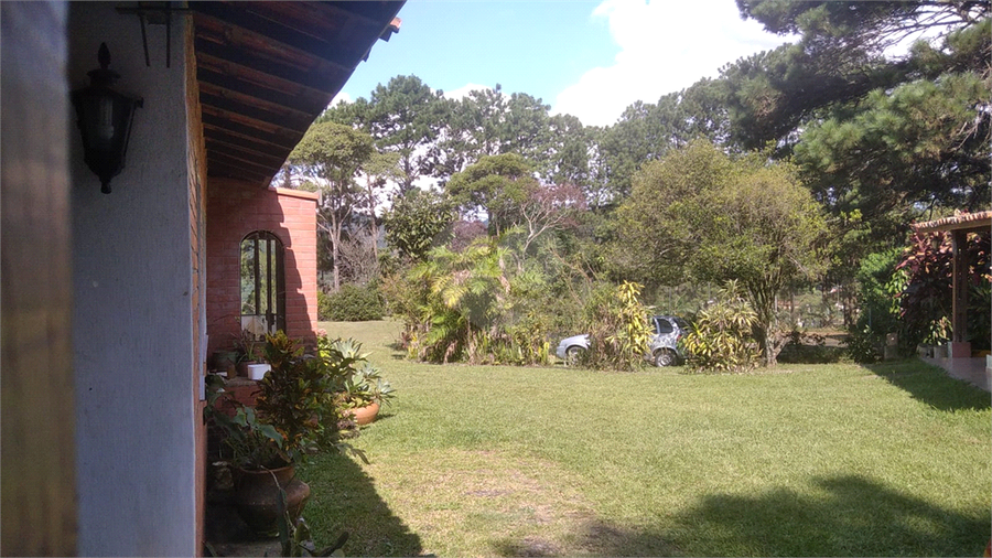 Foto REO750545