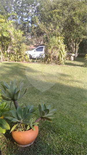 Foto REO750545