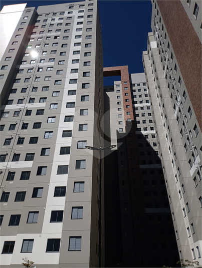 Foto REO750643