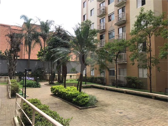 Venda Apartamento São Paulo Cambuci REO750916 38