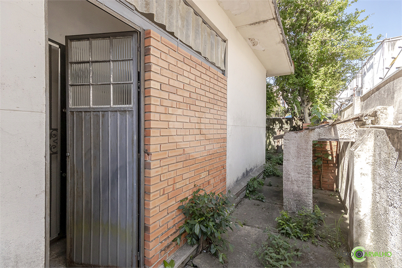 Foto REO750925