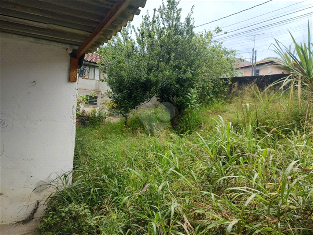 Venda Terreno São Paulo Vila Mazzei REO751032 28