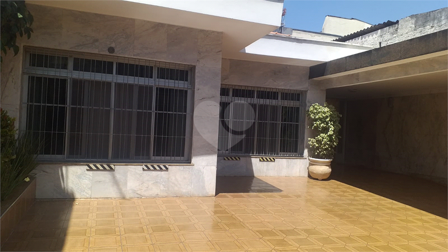 Foto REO751098
