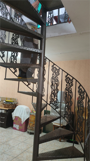 Foto REO751798