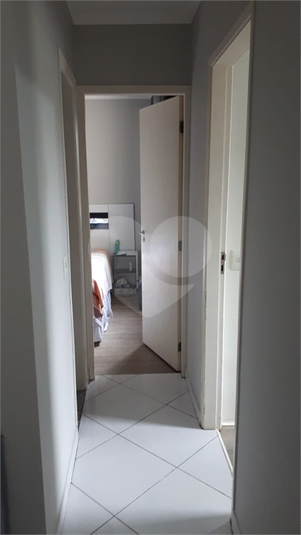 Foto REO751832
