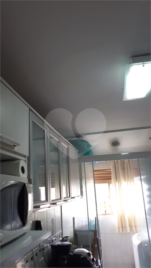 Foto REO751832