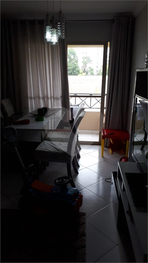 Foto REO751832