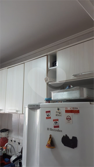 Foto REO751832