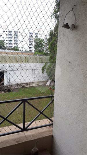 Foto REO751832
