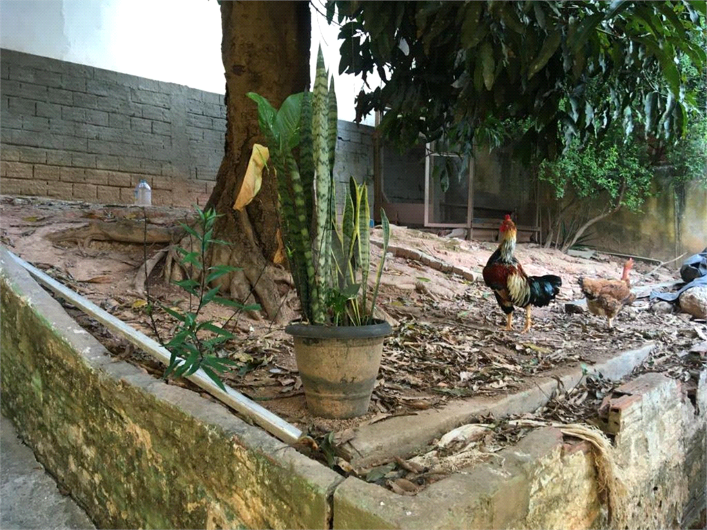 Venda Terreno São Paulo Vila Barbosa REO751947 4