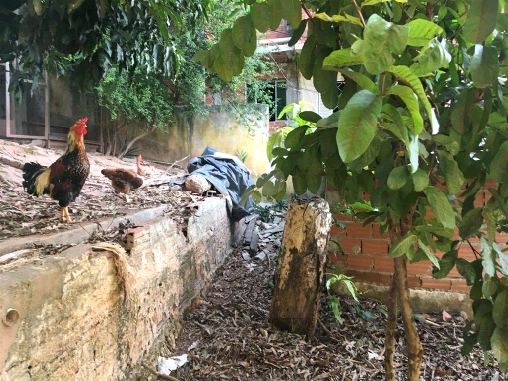 Venda Terreno São Paulo Vila Barbosa REO751947 7