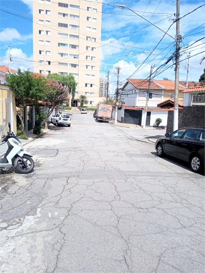 Foto REO751957