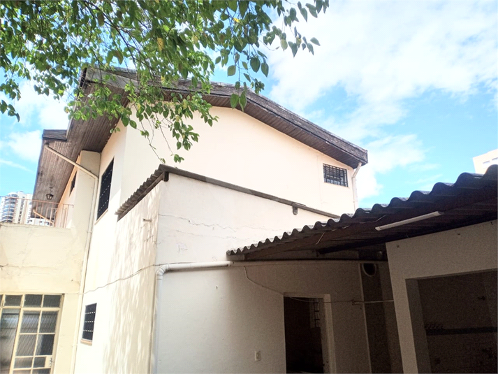 Foto REO751957