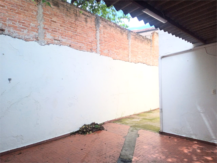 Foto REO751957
