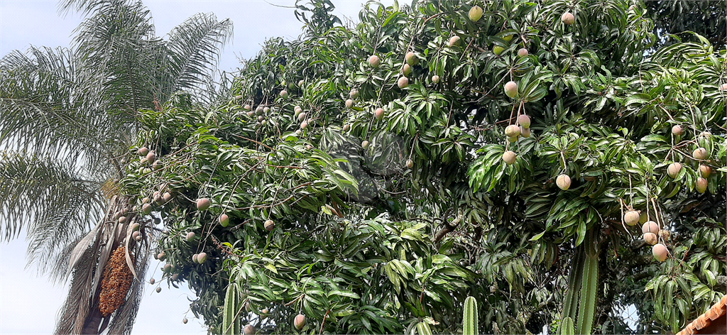 Venda Casa térrea Mairiporã Capoavinha REO752121 21