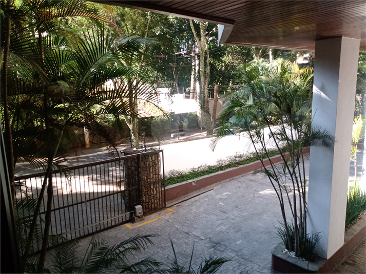 Foto REO75254