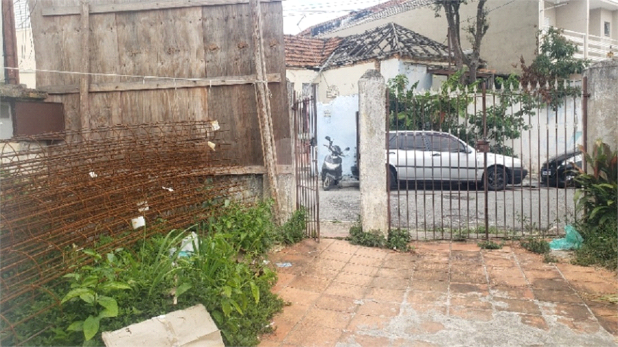 Foto REO752999