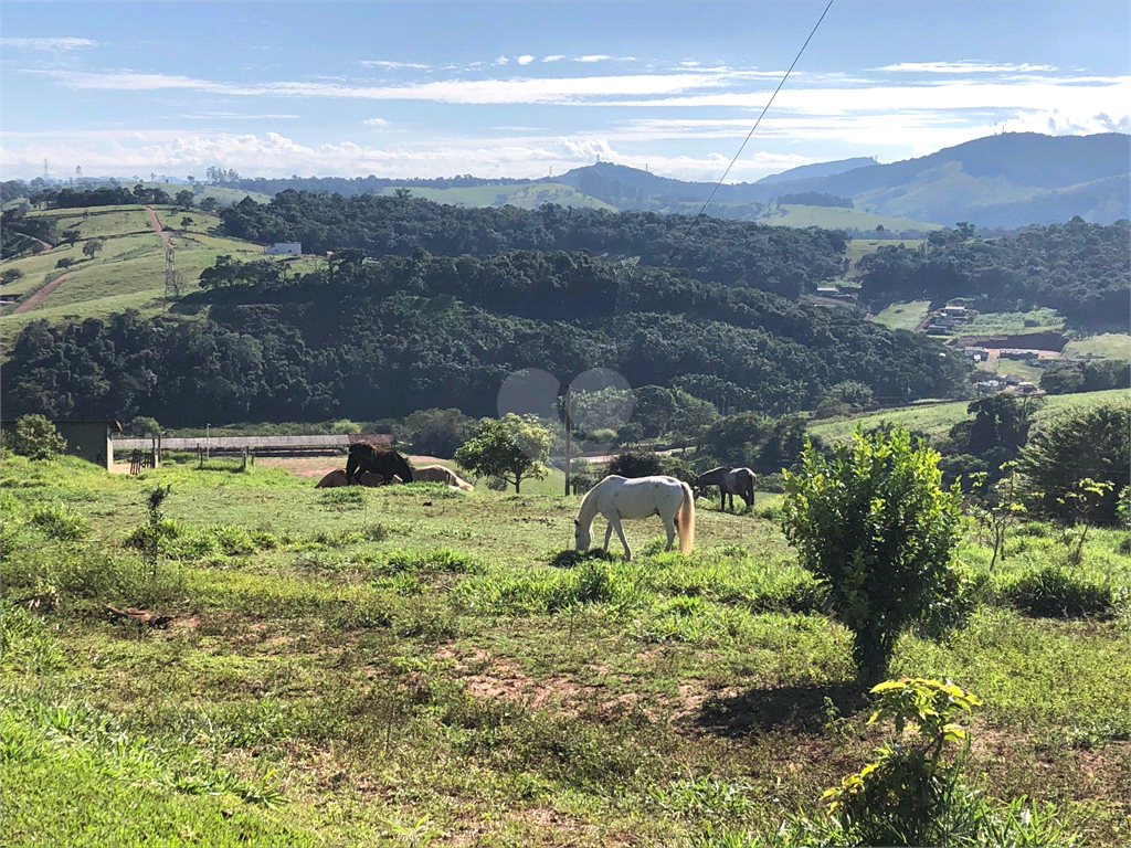 Venda Fazenda Atibaia Estância Parque De Atibaia REO753461 31