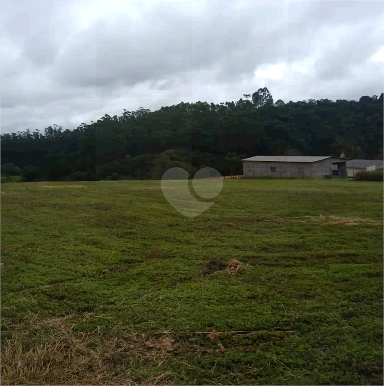 Venda Terreno São Roque Sorocamirim (canguera) REO754797 7