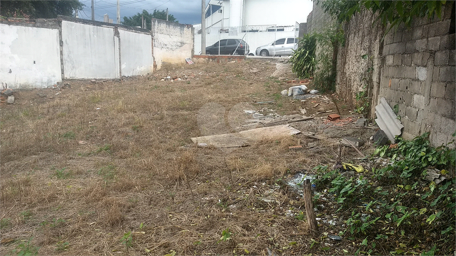 Foto REO756145