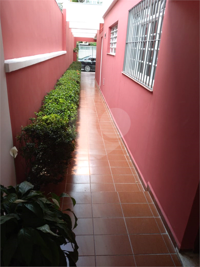 Foto REO756165